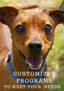 Pet Sitters of Naples